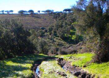 Bitti, dopo 3 anni dall’alluvione arriva il bando per il ristoro danni