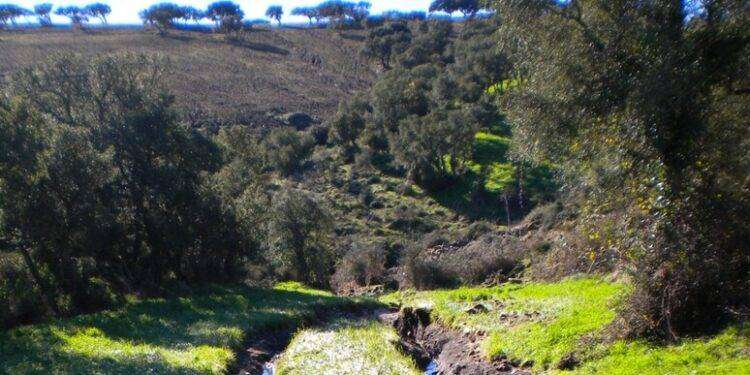 Bitti, dopo 3 anni dall’alluvione arriva il bando per il ristoro danni