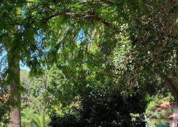 Allo Ied di Cagliari torna il Vintage Day con la moda etica