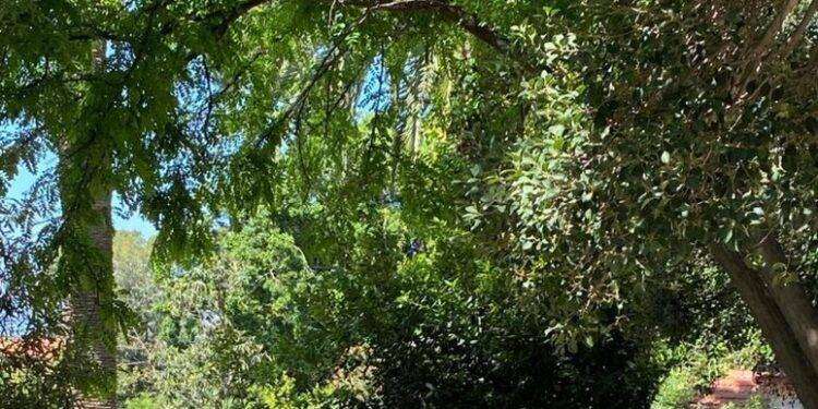 Allo Ied di Cagliari torna il Vintage Day con la moda etica