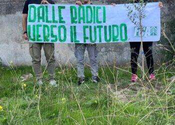 La Foresta Che Avanza celebra la festa dell’albero in tutto il territorio nazionale: iniziativa anche a Cagliari