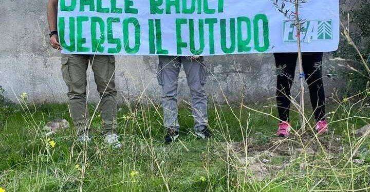 La Foresta Che Avanza celebra la festa dell’albero in tutto il territorio nazionale: iniziativa anche a Cagliari