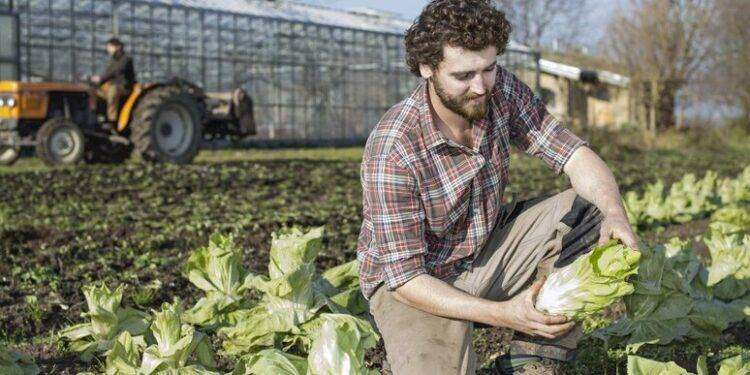 Al via il servizio civile agricolo, firmato il protocollo