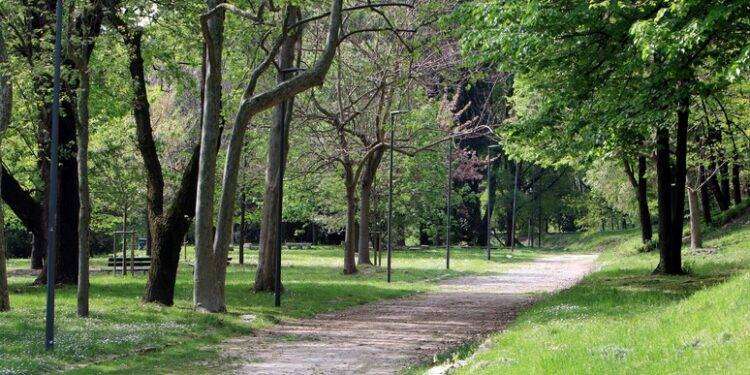 Nei capoluoghi italiani solo 24 alberi ogni 100 abitanti