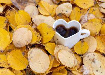 Autumn Blues, 10 consigli per stare meglio in autunno