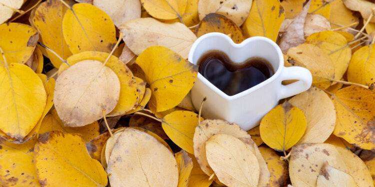 Autumn Blues, 10 consigli per stare meglio in autunno