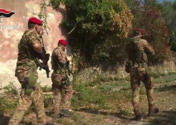 Maxi piantagione di cannabis ad Arborea: arrestate due persone