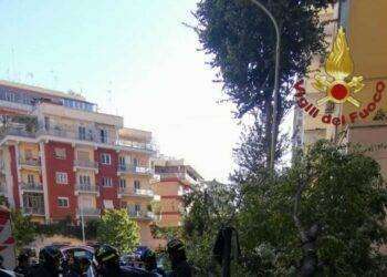 Cade un albero, morta una donna