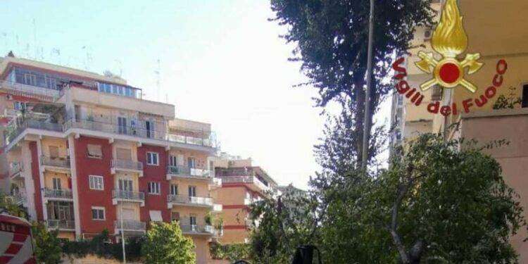 Cade un albero, morta una donna