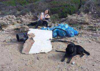 Arriva in Sardegna il progetto “Foreste italiane”: appuntamento il 18 novembre