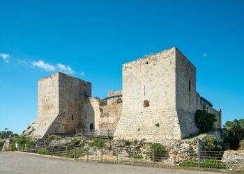 Cagliari, al Parco di San Michele nuovi alberi al posto di quelli definitivamente compromessi dall’incendio di luglio