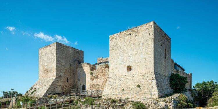 Cagliari, al Parco di San Michele nuovi alberi al posto di quelli definitivamente compromessi dall’incendio di luglio