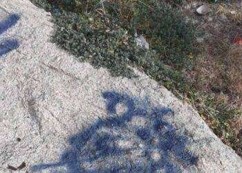 Olbia, lotta al degrado e ai writer che imbrattano la città