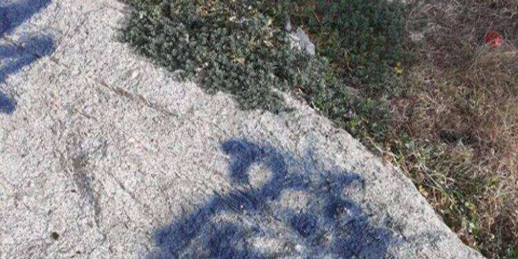 Olbia, lotta al degrado e ai writer che imbrattano la città