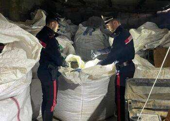 Due tonnellate droga sud Sardegna, scoperto impianto produttivo