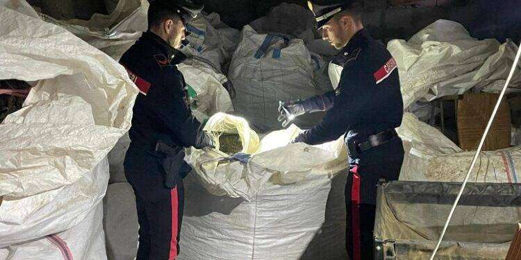 Due tonnellate droga sud Sardegna, scoperto impianto produttivo