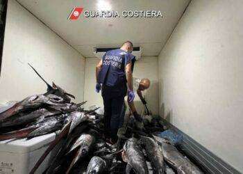 300 chili di pescato irregolare sequestrati in porto a Olbia