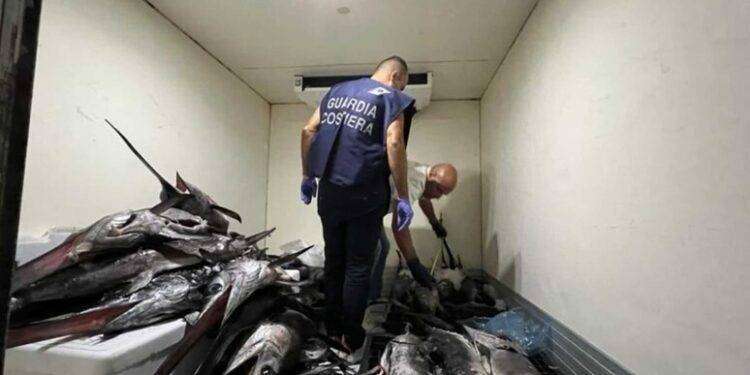 300 chili di pescato irregolare sequestrati in porto a Olbia