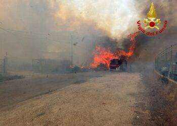 Tortolì, fiamme vicino al centro abitato: mobilitati i mezzi antincendio