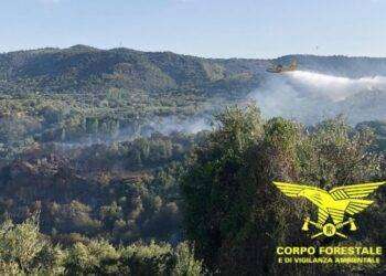 Prevenzione incendi boschivi, progetto pilota in Ogliastra