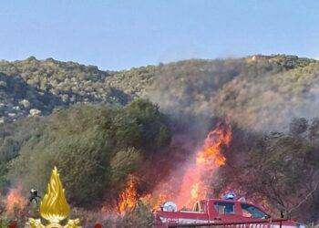 Incendio alla periferia di Olbia, le fiamme lambiscono le case