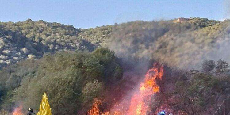 Incendio alla periferia di Olbia, le fiamme lambiscono le case