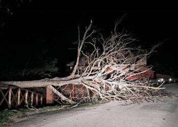Maltempo: temporali e venti forti  sul Centro Italia