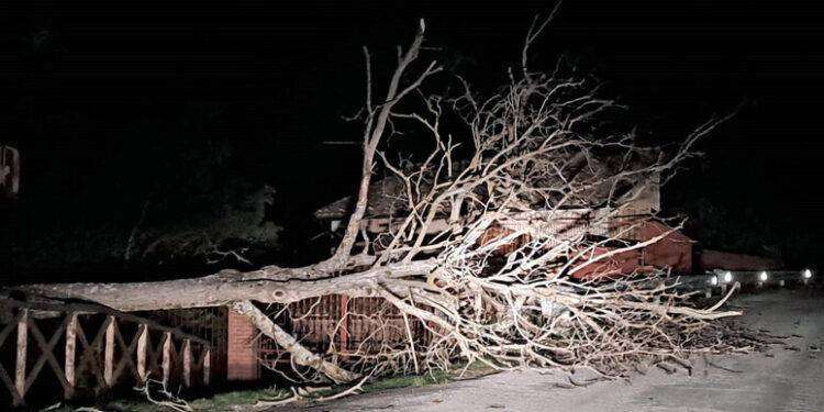 Maltempo: temporali e venti forti  sul Centro Italia
