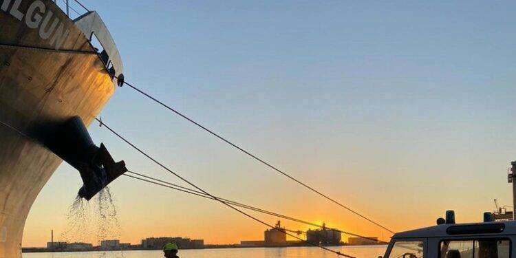 Irregolarità e pericoli per navigazione, stop a mercantile