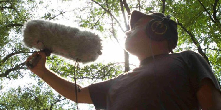 Phone video festival, II edizione per “raccontare con lo smartphone”