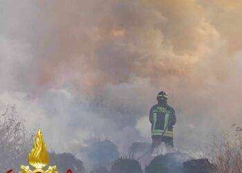 Fiamme vicino a Olbia: intervento dei Vigili del Fuoco