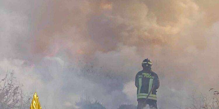 Fiamme vicino a Olbia: intervento dei Vigili del Fuoco