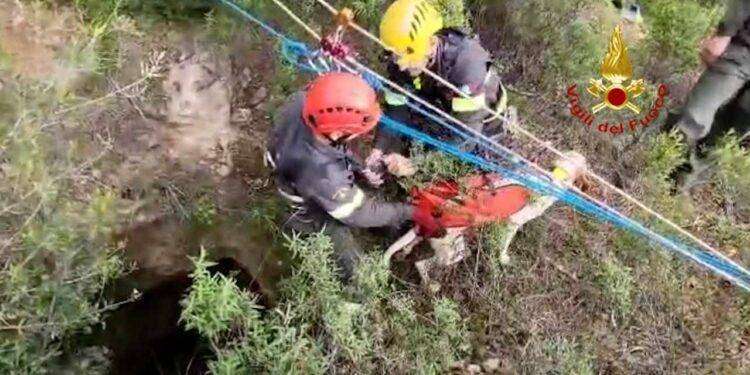 Cane da caccia precipita in una voragine a Perdaxius: salvato dai Vigili del fuoco
