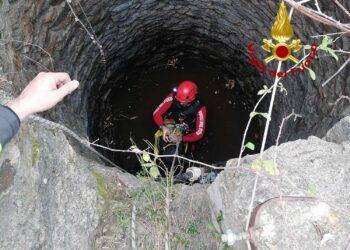 Siniscola, cane cade dentro il pozzo salvato dai Vigili del Fuoco