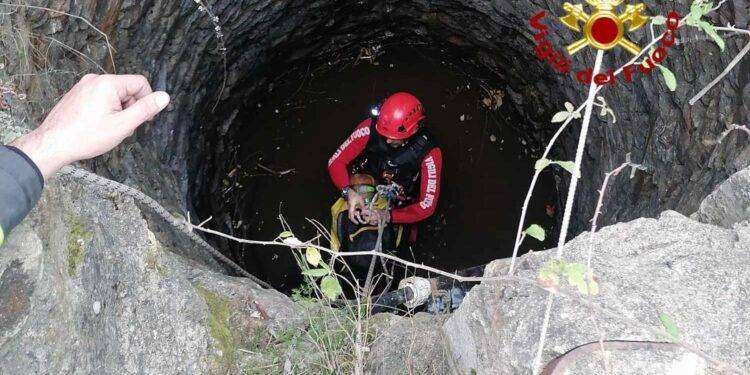 Siniscola, cane cade dentro il pozzo salvato dai Vigili del Fuoco