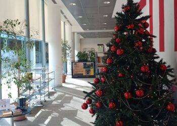 Cagliari, da lunedì 4 dicembre 2023 “Una storia al giorno aspettando il Natale”