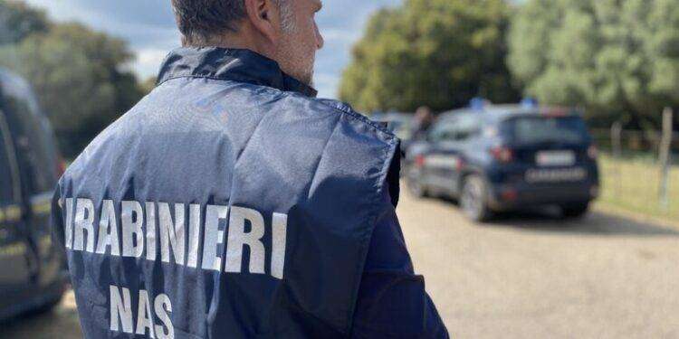 Sequestrato dai Nas stabilimento abusivo di pane ‘guttiau’