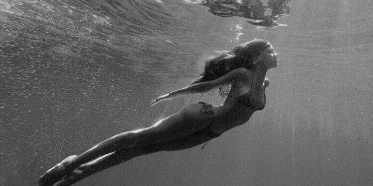 Sorrentino e gli altri, il cinema d’autore del 2024