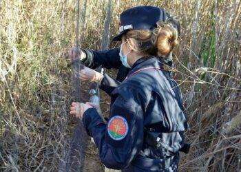 Task force contro il bracconaggio nel sud Sardegna