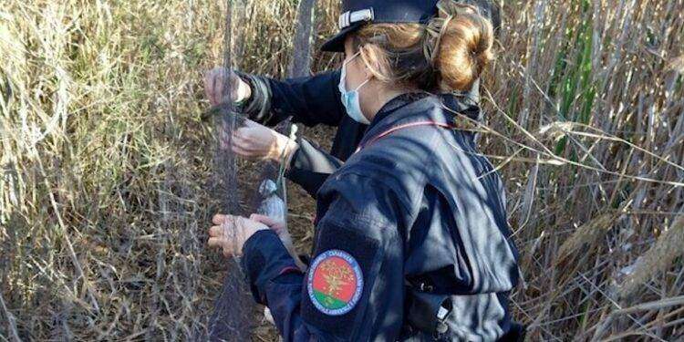 Task force contro il bracconaggio nel sud Sardegna