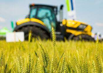 Agricoltura, Agea chiude il 2023 con pagamenti per 2,4 miliardi