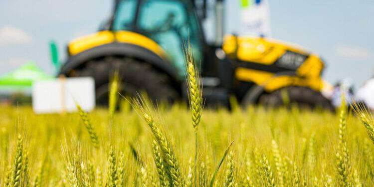 Agricoltura, Agea chiude il 2023 con pagamenti per 2,4 miliardi