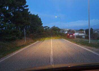 Maltempo, venti di burrasca nelle Marche e in Emilia