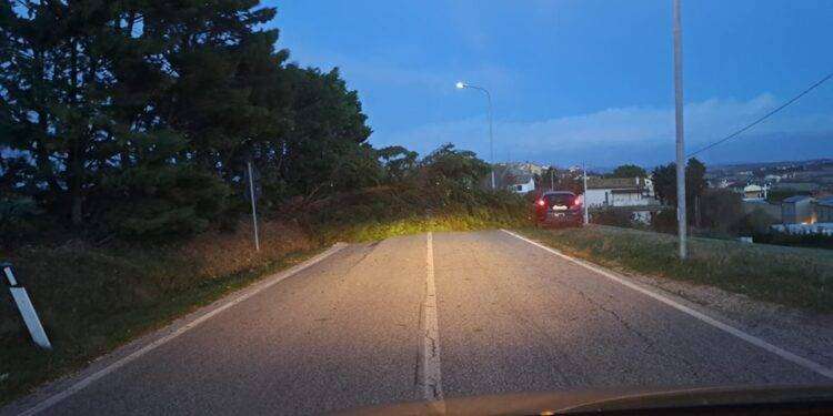 Maltempo, venti di burrasca nelle Marche e in Emilia