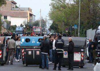 Scorie nucleari in Sardegna, Pala (Unione Pastori Nurri): “Pronti a barricate per impedirlo”