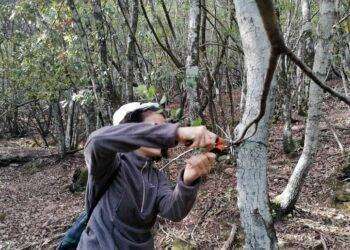 Operazione anti bracconaggio, rimosse centinaia di trappole