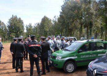 Anziana cerca funghi e si perde, salvata dai carabinieri