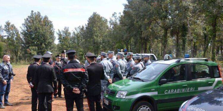 Anziana cerca funghi e si perde, salvata dai carabinieri