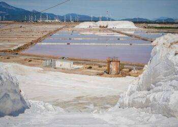 Finanziata dal Mur una ricerca dell’Università di Cagliari