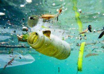 “Guardate il lungomare Sant’Elia in che condizioni schifose si trova”